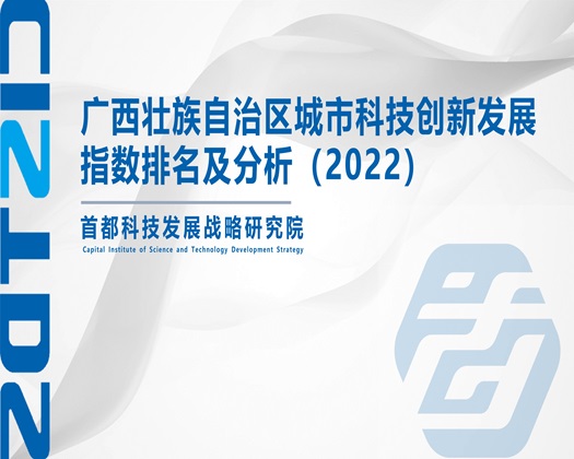 黄色干逼视频【成果发布】广西壮族自治区城市科技创新发展指数排名及分析（2022）